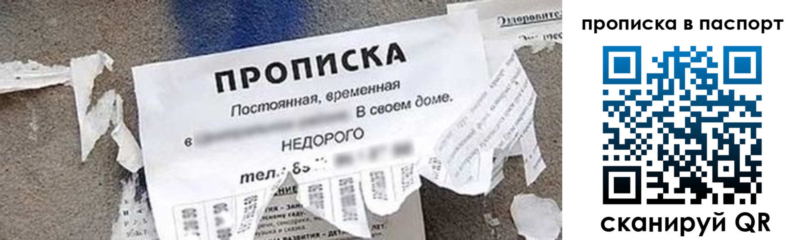где прописаться в Колпашево